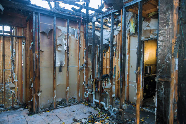 Professional Emergency Fire Damage Restoration technician working in Laveen, AZ